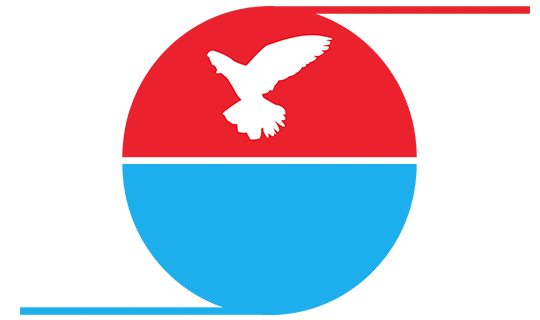 Taoufik Reizen Logo Origineel